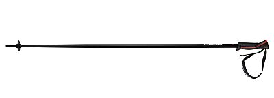 Превью  Палки горнолыжные HEAD Frontside Anthracite/Red (381152)
